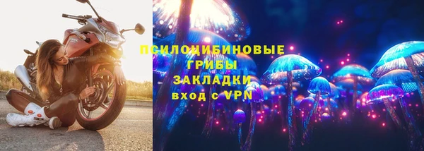 СК Верхний Тагил